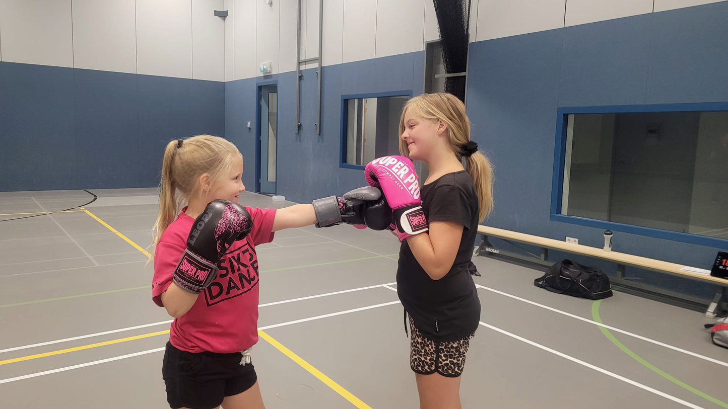 Children (up to 14 years) kickboxing